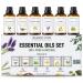Majestic Pure 100% Pure Essential Oils Set - 6 x 10ml (Peppermint Lavender Eucalyptus Tea Tree Lemongrass) For Diffusers Aromatherapy Candles Humidifiers Pure & Natural Essential Oil Set