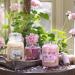 Yankee Candle Cherry Blossom Large Scented Candle in Glass | Up to 150 Hour Burn Time | International Shipping Available - Buy Online on GoSupps.com