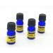 Essential Oil Car Vent Clip Diffuser Set - Includes 4 Premium Essential Oils for Aromatherapy on the Go - Buy Online on GoSupps.com