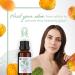 HBNO Organic Prickly Pear Seed Oil - Travel Size 1 oz | Pure Cold Pressed Oil for Massage Aromatherapy Skin & Hair Care - Buy Online on GoSupps.com