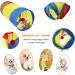 Wefine 20 Pcs Cat Toys for Indoor Kitten Collapsible Cat Tunnel for Indoor Cat Interactive Cat Feather Wand Ball Spring Mice Toy for Cat Puppy Kitty Kitten 20pcs Rainbow - Buy Online on GoSupps.com