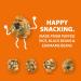 Savourists Sizzling BBQ Crunchits | High Protein Vegetarian Snacks | High Fibre | Resealable Bag | 8x60g Pack - Buy Online on GoSupps.com