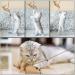 Shengruili 7-Piece Interactive Cat Toy Set | Kitten Mouse Toys Sisal Balls & Fun Activities for Cats - Buy Online on GoSupps.com