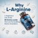 Pure L-Arginine High Strength - 1000mg L arginine Per Tablet - 180 Vegan Tablets (6 Months Supply) - Amino Acid Pre Workout Supplement for Men & Women - GMP-Certified & Keto-Diet Friendly - Buy Online on GoSupps.com