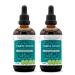 Tribal Detox Alcohol-Free Extract Turmeric Dandelion Milk Thistle Burdock Cleavers Cranberry Goldenrod Green Tea. Glycerite Tincture Cleansing Action Formula (2x4 fl oz)
