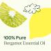 Buy 100% Pure Bergamot Essential Oil - Natural & Therapeutic Grade 30 mL - Plant Therapy - Fast International Shipping - Buy Online on GoSupps.com