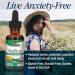 Nature's Answer Alcohol-Free Skullcap Herb Extract 1oz Liquid - Natural Calming & Nervous System Support - Buy Online on GoSupps.com