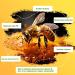 Bee Venom & Manuka Honey Ointment | Fast Acting Relief for Jock Itch Eczema Psoriasis & More - Natural Soothing Solution for Skin Rashes & Dryness - Buy Online on GoSupps.com