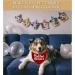 JXGZSO 1 Piece Pregnancy Announcement Dog Bandana Baby Announcement Pregnancy Reveal Gift (Mom & Dad are GETTING CA) - Buy Online on GoSupps.com