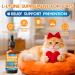 L-Lysine Supplement for Cats - Immune Support Lysine Drops of All Ages - Feline Respiratory Sneezing Runny Nose Eye Function - Boost Natural Strengthen Defenses Roast Chicken Flavor 60 ML - Buy Online on GoSupps.com