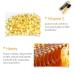 Premium Lip Plumper & Oil | Tinted Moisturizing Gloss for Fuller Nourished Lips | Lightens Fine Lines & Enhances Elasticity - Buy Online on GoSupps.com