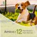MediNatura T-Relief Pet Arthritis Relief - Arnica +12, 90 Tablets for Pain Relief - Buy Online on GoSupps.com