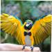 BESPORTBLE Flying Bird Diapers Parrot Bird Nappy Clothes Trendy Clothes Roleplay Costume Parakeet Cage Accessories Decorative Bird Clothes Pet Accessories Dreses Washable Cotton The Bird 12x6cm - Buy Online on GoSupps.com
