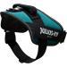 Buy IDC Powerharness L/1 - Petrol Green | Premium Pet Harness for Ultimate Comfort | International Shipping Available - Buy Online on GoSupps.com