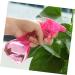 Beatifufu 3-Piece Portable Plant Watering Spray Bottle Set - Ideal for Flowers Pets & Cleaning | Fine Mist Trigger Irrigation - Buy Online on GoSupps.com
