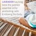 Garden of Life Lavender Essential Oil 0.5 fl oz - 100% Organic & Pure for Diffuser, Aromatherapy, Skincare & Relaxation - Buy Online on GoSupps.com