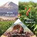 Mezcla Vegan Plant Protein Bars Variety Pack - Gluten-Free, Non-GMO, Soy-Free - 10g Protein - 8-Pack - Buy Online on GoSupps.com