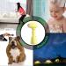 Cordless Hair Dryer Wireless Hair Dryer 3 Modes Hot & Cold Air Butt Blow Dryer for Diaper Rash Prevention Suits Thin Hair Better - Buy Online on GoSupps.com