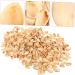 COHEALI 1 Pistachio Shell Kids Crafts Kids DIY Craft Charms Material DIY Accessory Child Decorate Self Made As Shown 2X1.2CM - Buy Online on GoSupps.com