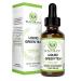 Green Tea Fat Burner - with EGCG Green Tea Extract Liquid, Max Potency for Weight Loss Support & Energy, 10 cups of Green Tea Natural Antioxidants Polyphenols & Caffeine Non-GMO Alcohol & Gluten Free