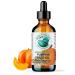 Bella Terra Oils Organic Pumpkin Seed Oil 4 oz 100% Pure & Cold-Pressed Rich in Phytosterols & Magnesium Hydrating & Nourishing for Skin & Hair Antioxidant-Rich Beauty Oil 4 Fl Oz (Pack of 1)