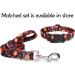 Suredoo Adjustable Soft Nylon Dog Collar for Small & Medium Dogs - Comfortable Pumpkin Design (M Neck 33-55 cm Width 2 cm) - Buy Online on GoSupps.com