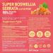 Super Boswellia Serrata with G-FOS - 98% Boswellic Acid - Supports Joint & Mobility Health - 180 Vegan Capsules 180 Day Supply 180 Count (Pack of 1) - Buy Online on GoSupps.com