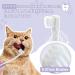 VVHOMIFE Cat Toothbrush Complete Kitty Dental Care Kit with Teeth Whitening Tracker - Premium Brushes for Cats Easy Oral Hygiene & Gap Cleaning-cat - Buy Online on GoSupps.com