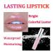 Rosarden Metallic Lipsticks for Women - Long Lasting 24 Hour Waterproof Lip Gloss | Diamond Shimmer Glitter Gloss Lipstick in Orange Pink - Shiny Gloss for Cheeks and Eyes - Buy Online on GoSupps.com