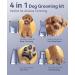 oneisall Dog Clippers Grooming Kit 4 in 1 Quite Cordless Dog Paw Trimmer & Nail Grinders & Small Dog Trimmer for Grooming Pet Clippers Shaver Trimmer for Small Dogs (Blue) - Buy Online on GoSupps.com