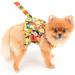 Paidful Dog Harness Dress for Small Dogs & Cats - Colorful Flower Tutu Breathable Mesh Pet Clothing with 1.6m Leash - Perfect for Mini Puppies & Yorkies - Spring/Summer Fashion - Buy Online on GoSupps.com
