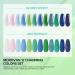 Morovan Poly Gel Nail Kit - 12 Colors Poly Nail Gel Extensions | DIY at Home Nail Art Starter Kit | International Shipping Available - Buy Online on GoSupps.com
