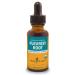 Herb Pharm Certified Organic Pleurisy Root Liquid Extract for Respiratory System Support 1 Fl Oz 1 Fl Oz (Pack of 1)