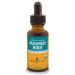 Herb Pharm Certified Organic Pleurisy Root Liquid Extract for Respiratory System Support 1 Fl Oz 1 Fl Oz (Pack of 1)