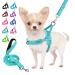 Eyein no-pull dog harness with a leash dishes with soft padded reflective adjustable breast dishes for puppies small dogs large dogs pets cats (blue-green XS) blue-green XS