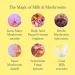 Beekman 1802 Mushroom Milk Eye Cream - Anti-Aging Fragrance-Free Reduces Fine Lines & Dark Circles - Goat Milk Hexapeptide & Mushroom Formula - Sensitive Skin Cruelty-Free - 0.5 fl oz - Buy Online on GoSupps.com
