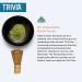 Teaki Hut Organic Matcha Green Tea Powder 5oz - USDA Organic, 100% Pure, Unsweetened & Delicious - Ideal for Smoothies & Lattes - 141 Servings - 5 Ounce Pack - Buy Online on GoSupps.com