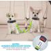 Slowton 2-in-1 Dog Car Seat Belt | Adjustable Durable Reflective & Tangle-Free for Small Dogs - International Shipping - Buy Online on GoSupps.com