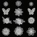 Zcketo 12 Pcs White Sew on Embroidery Lace Flower Rose Butterfly Patches Appliques DIY Sewing Craft Lace Patches for DIY Sewing Craft Clothes Bags Hats Girls Dress Hair Ornaments Wedding Decor White,Rose