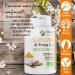 Plan te au Naturel Organic Turmeric and Black Pepper 300mg - 200 Vegetable Capsules - Buy Online on GoSupps.com