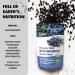 LOOV Wild Organic Dried Blueberries - 4 Ounces | No Added Sugar, No Added Oil | Nordic Forest Freeze Dried, Non-GMO, Unsweetened Whole Fruit Snack - Buy Online on GoSupps.com