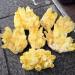 Natural Citrine Cluster Reiki Feng Shui Home Decoration Crystal Gift Home Collections (Size : 300g) - Buy Online on GoSupps.com