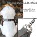 Rennaio No Pull Dog Harness & Leash Set - Adjustable Puppy Dishes with Clips | Ultra Comfortable for Small & Medium Dogs (Brown Size S) - Buy Online on GoSupps.com