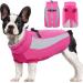 Kuoser Dog Winter Coat Waterproof Windproof Dog Warm Jacket for Small Medium Large Dogs Pet Fleece Lined Vest with Smooth Zipper Closure Reflective Puppy Cold Weather Apparel Outdoor Outfit Rose X-Small rose2