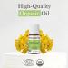 Pranarom USDA Certified Organic Helichrysum Essential Oil (2ml), 100% Pure Natural Therapeutic Grade for Skincare, Lotions, Aromatherapy, Diffusion, and Wellness 0.07 Fl Oz (Pack of 1) - Buy Online on GoSupps.com
