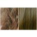 Magic Fast Growth Herbal Hair Oil - Special Blend for Damaged Hair | Only $0.25/Day | International Shipping to USA - Buy Online on GoSupps.com