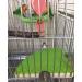 KINTOR 7-inch Green Bird Perch Stand for Small Medium Birds and Small Animals - Buy Online on GoSupps.com