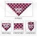 Girl Dog Birthday Bandana & Hat Set - Perfect Supplies for Small/Medium Dog Parties - Buy Online on GoSupps.com