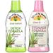 Lily Of The Desert Stomach Formula & Detox Formula Variety 2-Pack Aloe Vera andHerbs for Gut Health Liver Detox Heartburn Relief 32 Fl Oz Ea 32 Fl Oz (Pack of 2)