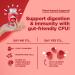 Healthy Gut Probiotic Gummies for Adults - Organic Probiotics for Gut Health Upset Stomach Relief and Immune Support - Digestive Health Chewable Probiotic Gummies for Women and Men - 5 Billion CFU - Buy Online on GoSupps.com
